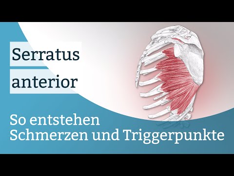 Video: Serratus Anterior Pain: Ursachen, Symptome, Behandlungen Und Übungen