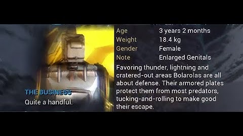 The Business "Quite A Handful" (Warframe Short)