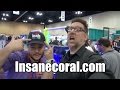 InsaneCoral.com