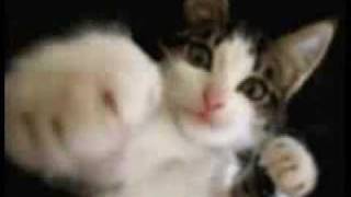 0000000000000000