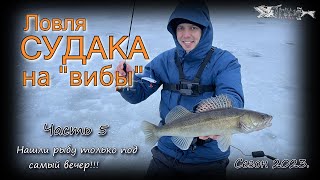 Ловля судака на вибы. Рыбу нашли только под самый вечер!!! Часть 5. Сезон 2022-23