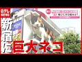 新宿駅・街頭ビジョンに“巨大ネコ”が出現！ 仕組みは…（2021年7月7日放送「news every.」）