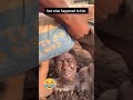 see what happened to him 🤣🤣 Wait for next #funny #viral #shorts #short