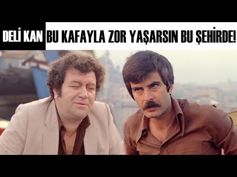 Deli Kan Türk Filmi  | Sefer'in İstanbul ile İmtihanı!