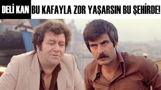 Deli Kan Türk Filmi Seferin İstanbul Ile İmtihanı