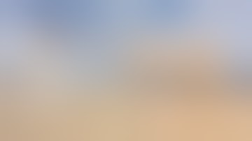 Fails of the Week #4 - February 2019 | Funny Viral Weekly Fail Compilation | Fails Every Week