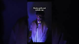 Moody synths and melodic rap