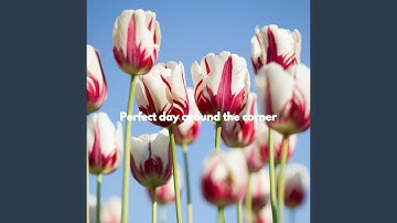 Luxurious Music for Forgetting Summer