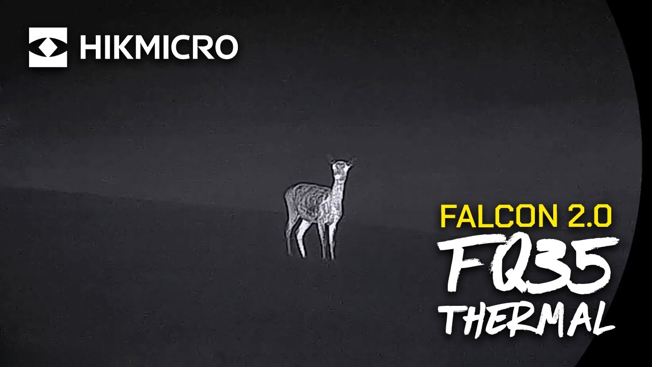 HIKMICRO Falcon FQ35 2.0 Thermal Monocular Footage