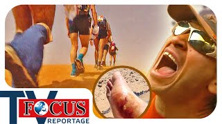 Der härteste Marathon der Welt: 240 km durch die Sahara | Focus TV Reportage