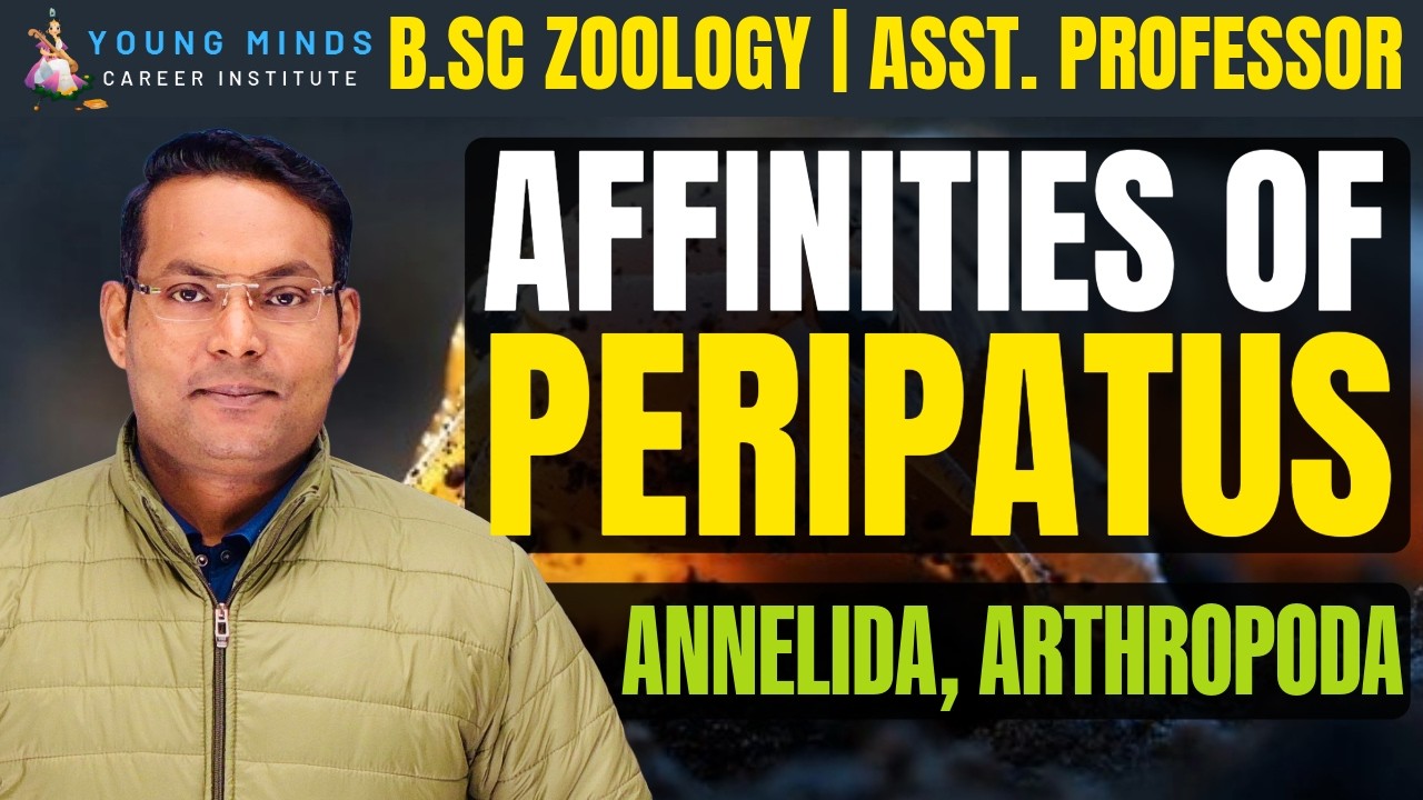 Affinities of Peripatus