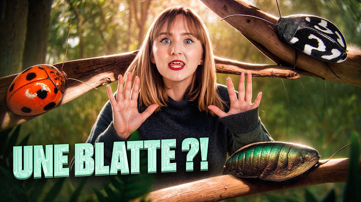 Tu ne tueras PLUS JAMAIS de CAFARDS !