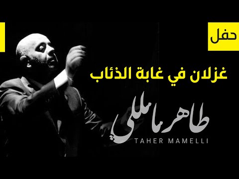       طاهر مامللي حفل شارة مسلسل غزلان في غابة الذئاب
