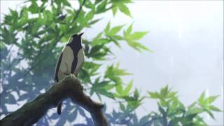 JANEE - Bird