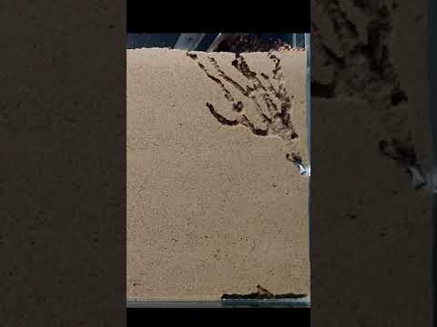 Sand ant farm v2.0 short version