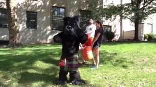 CMU Ice Bucket Challenge