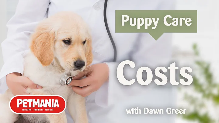 Puppy Care - Considering Costs with Dawn Greer