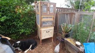 compact black soldier fly composting/breeding system