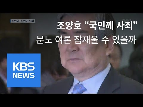 조현아·조현민 그룹 경영 사퇴…조양호, 대국민 사과