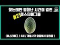 화이트해커, 그들이 해킹하는 이유 - 지한별님 [나우미래6] - YouTube
