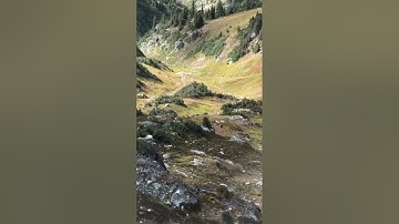 Large boulder reaches incredible speed after being pushed off the cliff