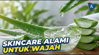 Benefits of Aloe Vera for Facial Skin