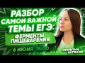 Разбор САМОЙ ВАЖНОЙ темы егэ: Ферменты пищеварения | Биология | PARTA