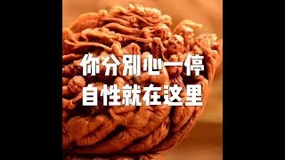 201709 你分别心一停 自性就在这里23569