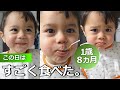 【１歳８ヵ月】本日よく食べる食事風景｜いつもおねえちゃんはうるさいな｜Our Baby Boy Eatsthe Cupboards Bare