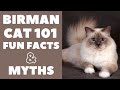 Birman Cats 101 : Fun Facts & Myths の動画、YouTube動画。