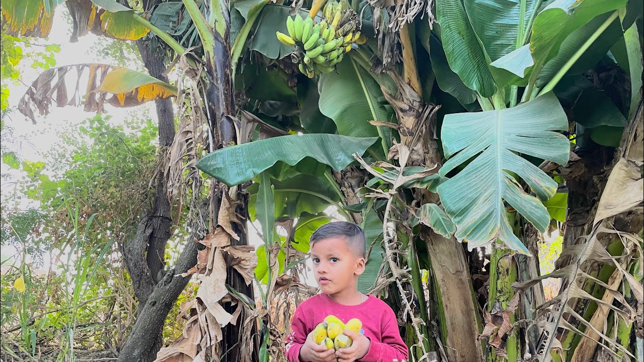 केले के बागान में 🍌 Parth ko yah kya mila? 🥰