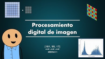 Introducción al procesamiento digital de imagen