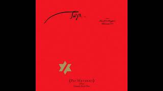 John Zorn | Pat Metheny ‎– Tap: Book of Angels Volume 20 [Full Album]