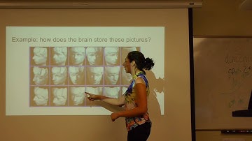 Machine learning for neuroscience lecture 3: dimensionality reduction and clustering