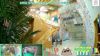 【LIVE CAMERA】Sport Climbing Gym『RainbowCliff』