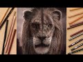 Drawing Scar - The Lion King