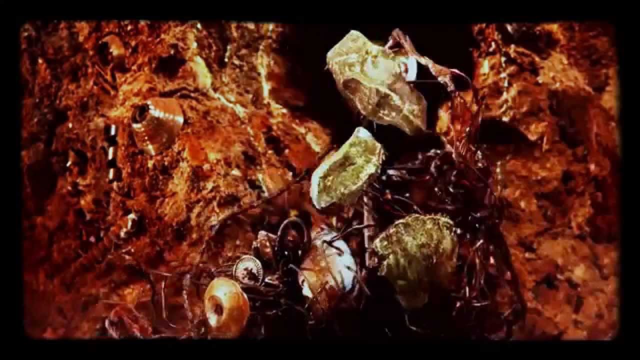 平沢進　盗人ザリネロ