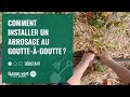 [TUTO] Comment installer un arrosage au goutte à goutte ? - Jardinerie Gamm vert