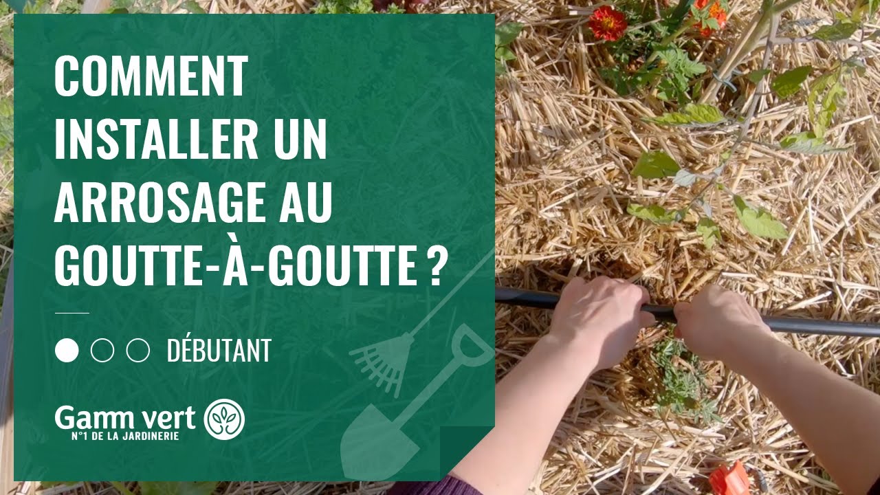 Comment installer un goutte-à-goutte dans votre serre ? - France Serres