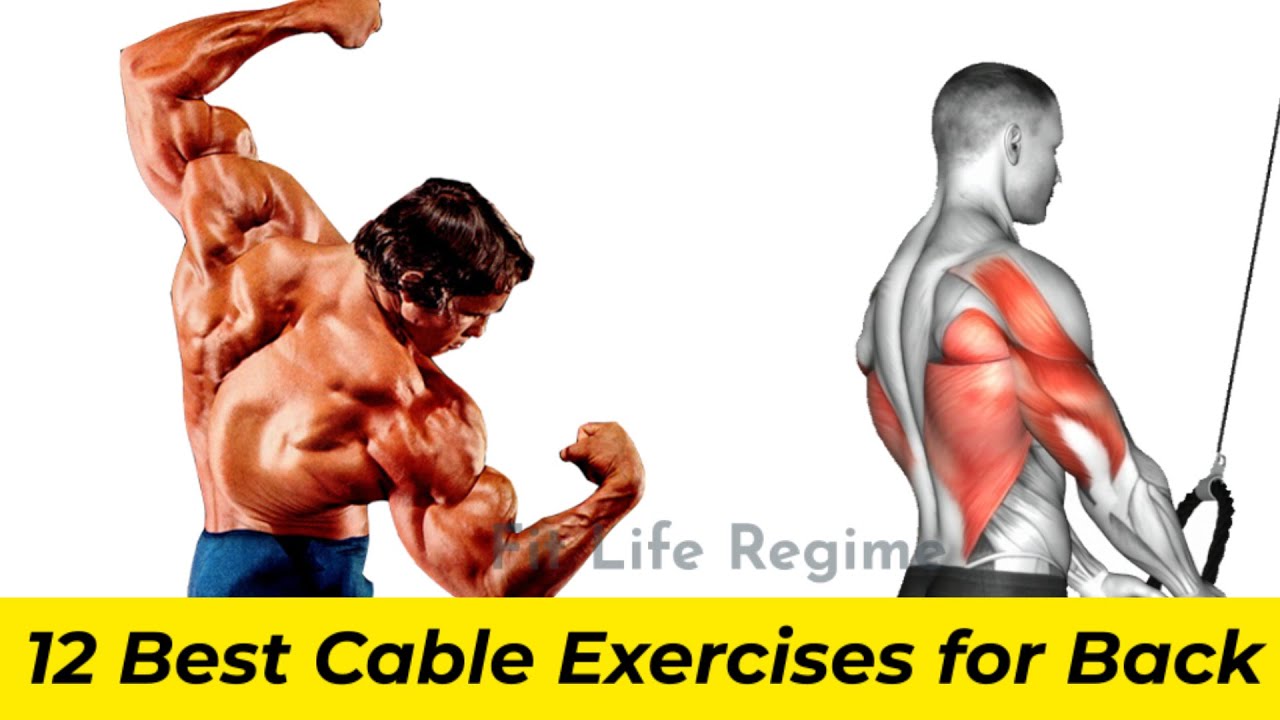 12 Best Cable Back Workout and Exercises for Wider Back