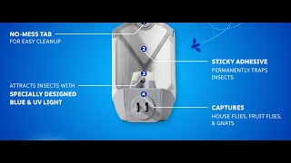 Zevo Flying Insect Trap For Indoors Light Trap Captures Fruit Flies, Gnats And Houseflies, Starter