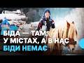 Як зимують у гірському селі Гринява на Прикарпатті
