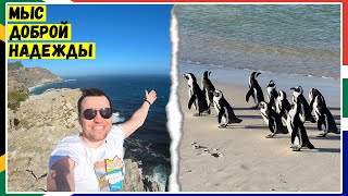 Мыс Доброй Надежды / Пингвины в Африке! / ЮАР #2