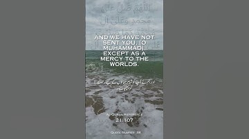 37 Quran Quotes In English Urdu Quran Kareem القرآن الكريم