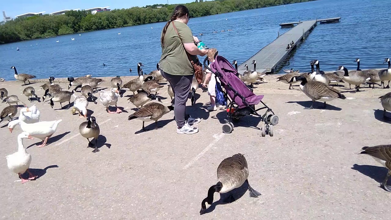 Kingmills reservoir YouTube