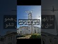 أمثال شعبية ما يتهنى الزوفري من همه حتى يلقى البايرة اللي تلم و