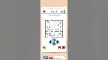 Brain test All star:IQ boost level 404