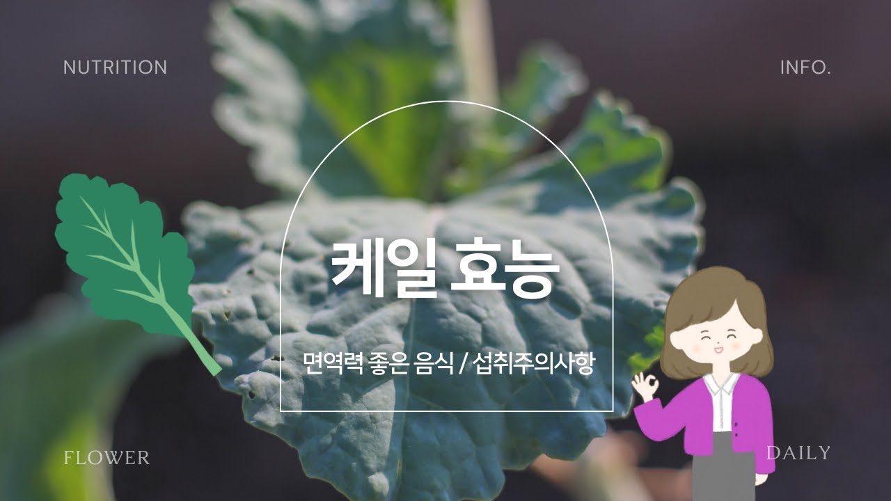 놀라운 케일 효능 먹는법 이렇게 드셔야합니다. 절대 먹으면 안되는 5가지 유형 섭취주의하세요 - YouTube