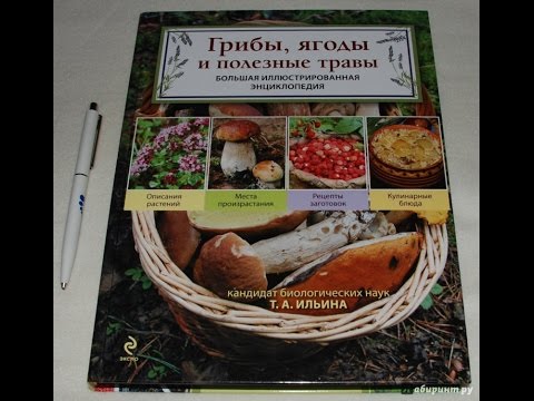 прикольная книжка про грибы, ягоды и полезные травы