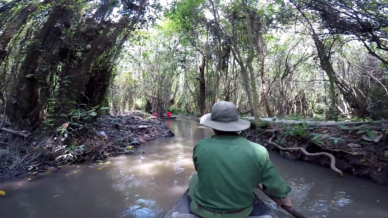Xeo Quyt Forest, Mekong Delta, Vietnam
